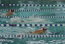 开云综合服务-中国游泳运动员世锦赛接力项目表现抢眼，中国游泳接力夺金